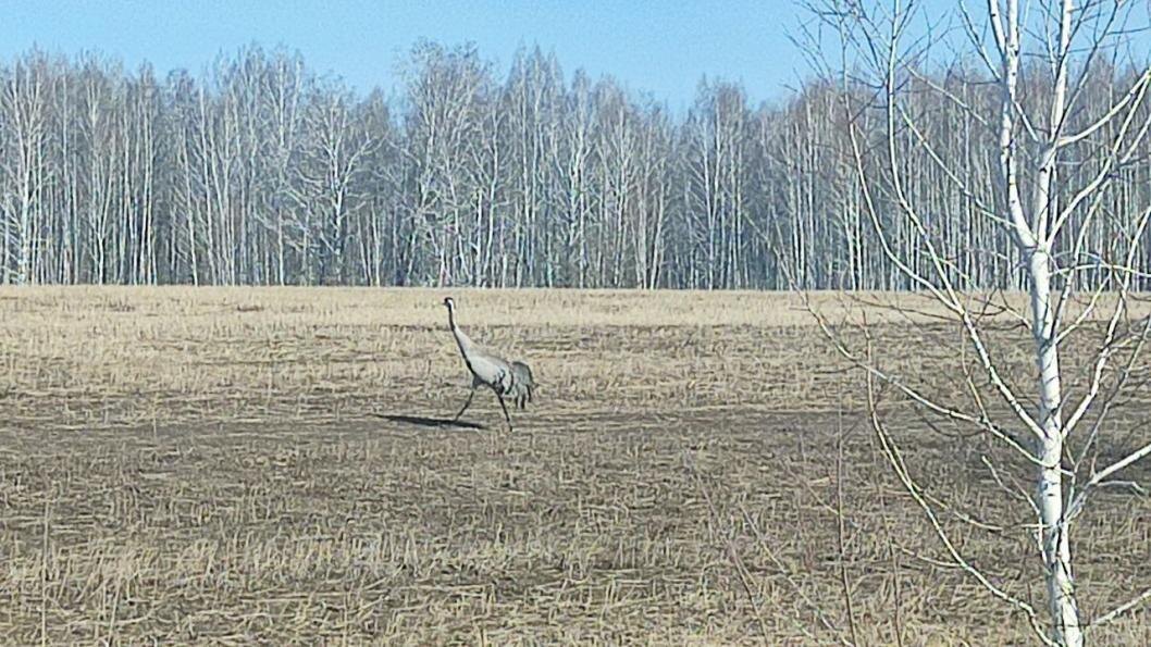  Фото Георгия Журавлева, ИА «Тюменская линия»