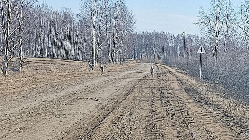 Фото Георгия Журавлева, ИА «Тюменская линия»