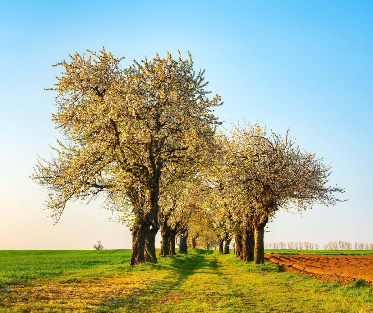 фото: AVTG/http://imagebroker.com/#/search/Global Look Press