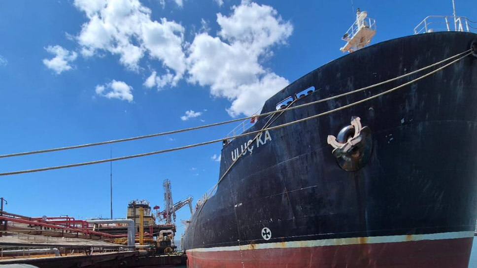 Фото: Telegram-канал главы Росприроднадзора Светланы Радионовой