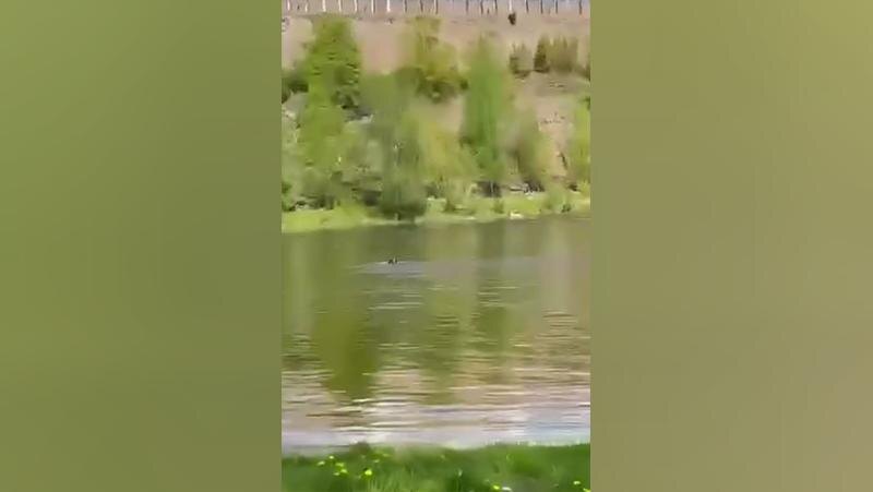    Фото: t.me/narva_news_tg