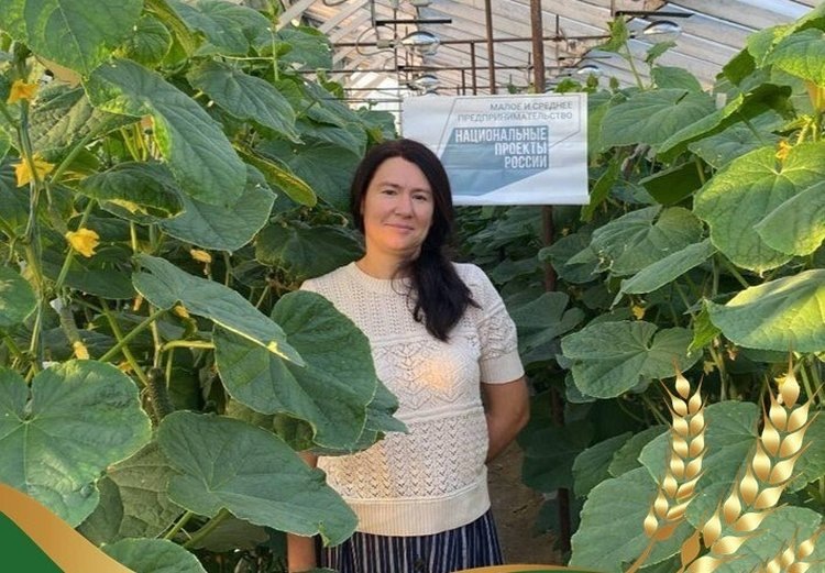    Жительница орловской области построила свой тепличный комплекс с опылением шмелями