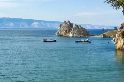 Материал с сайта tomsk.aif.ru 