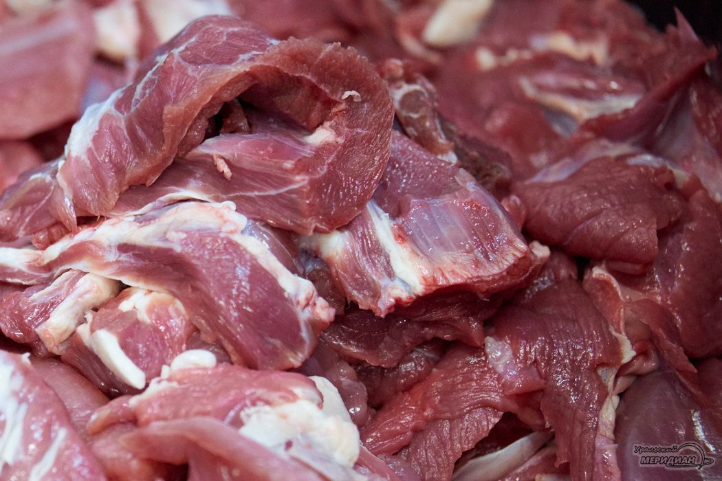    Фото: Лидия Аникина © ИА «Уральский меридиан»