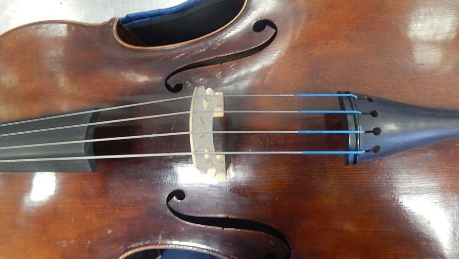    Автор фото: Пресс-служба таможенного управления Северо-запада.