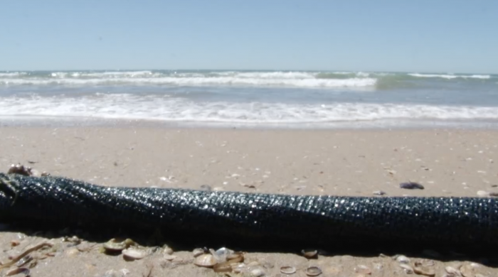    оперативный штаб Краснодарского края