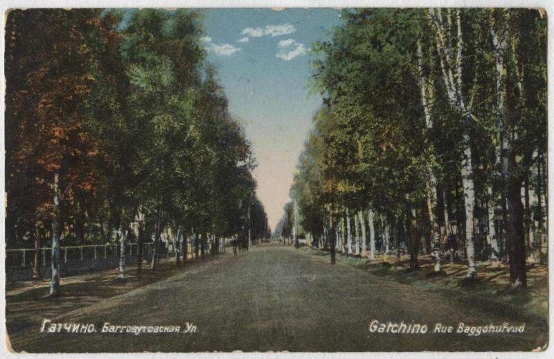 Открытка. «Гатчино. Багговутовская Ул. / GATCHINO. Rue Baggohufvud», 1904-1917 гг.