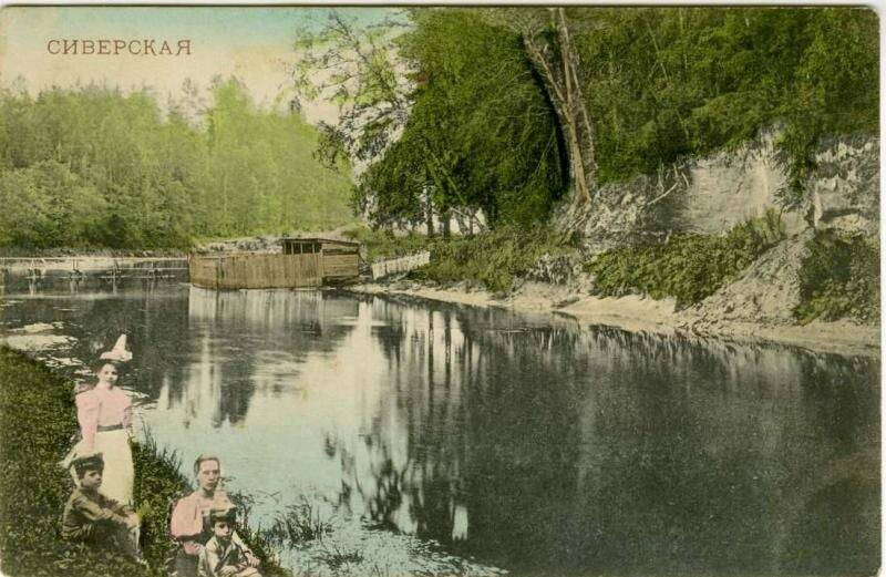 Открытка. "Сиверская", 1904-1908 гг.