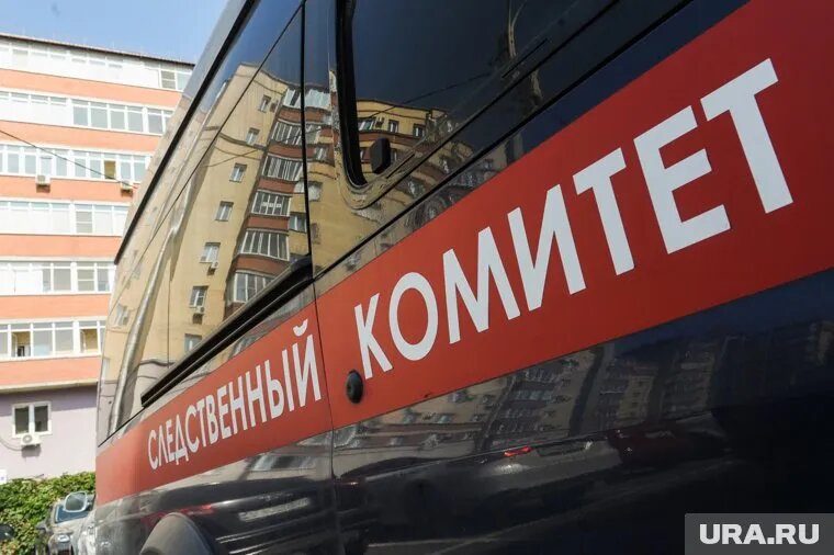 Следствие ходатайствует о заключении челябинки под стражу. Фото: Вадим Ахметов © URA.RU