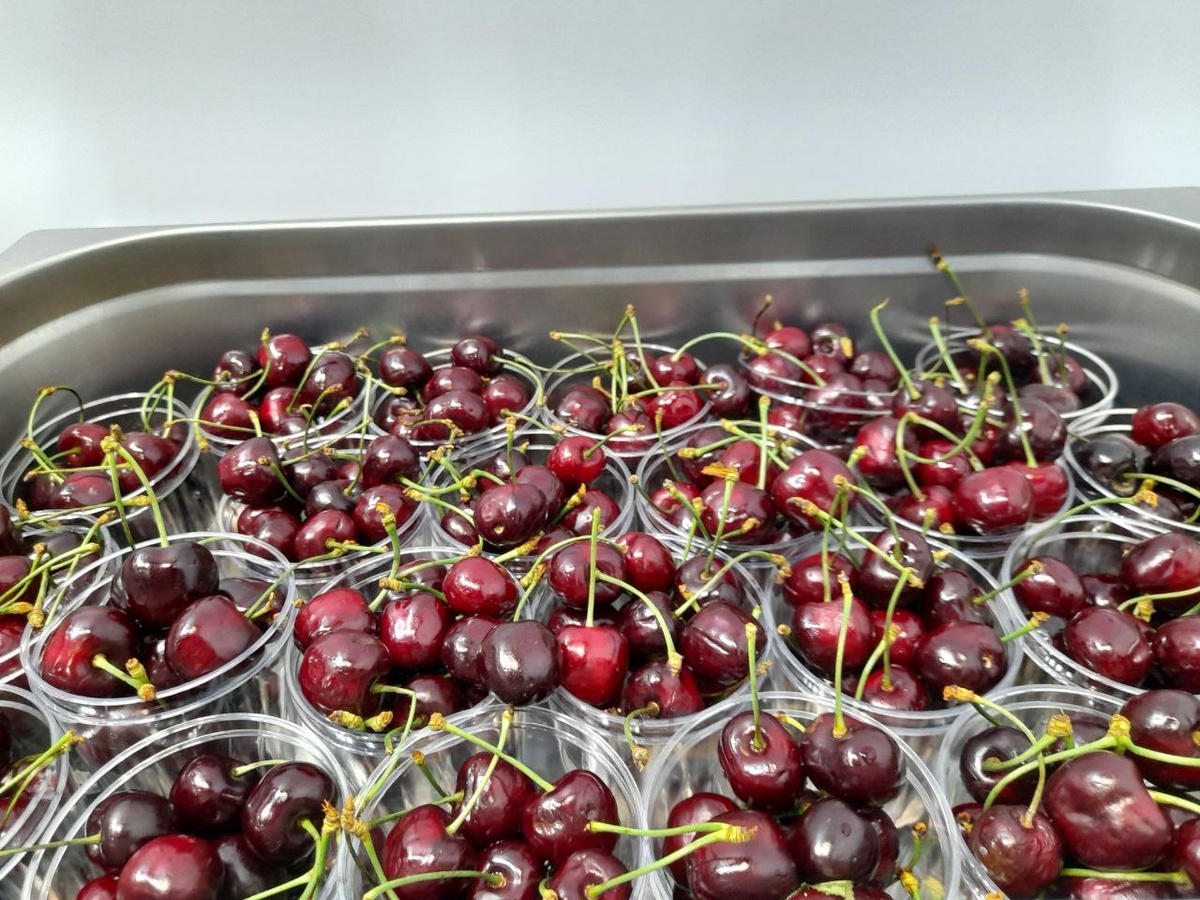    Фото: Мойка78