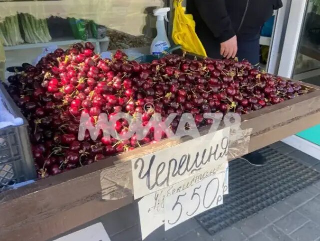    Черешня в Петербурге. Фото: Мойка78