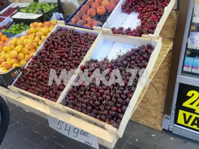    Черешня в Петербурге. Фото: Мойка78