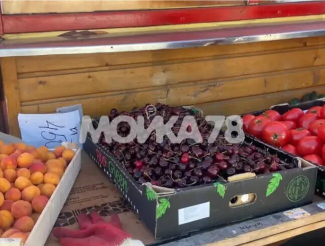    Черешня в Петербурге. Фото: Мойка78