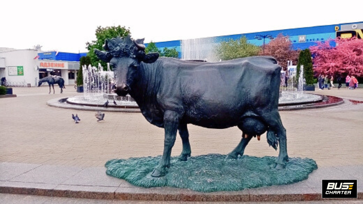 Что купить в Минске