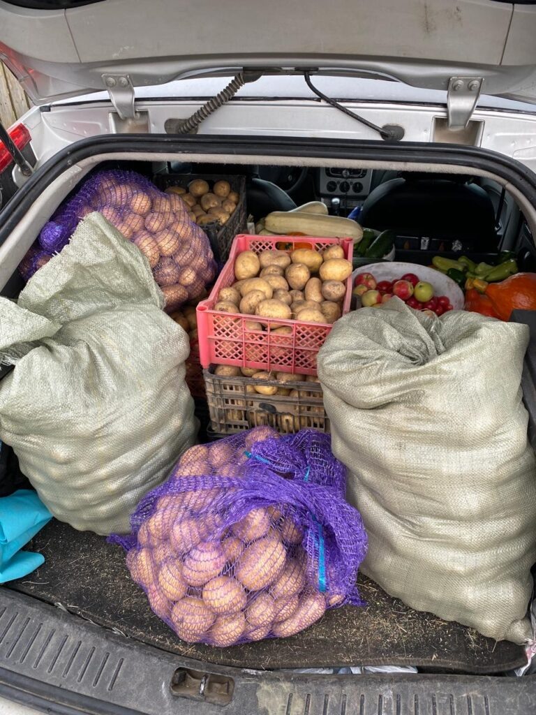    Фото: В курсе.ру Ульяна Бажанова