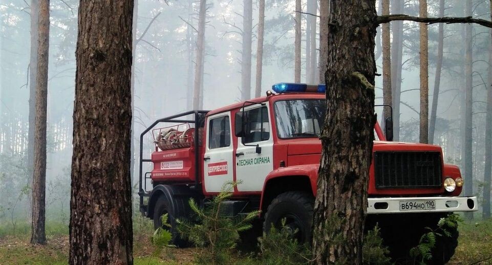    Комитет лесного хозяйства Московской области