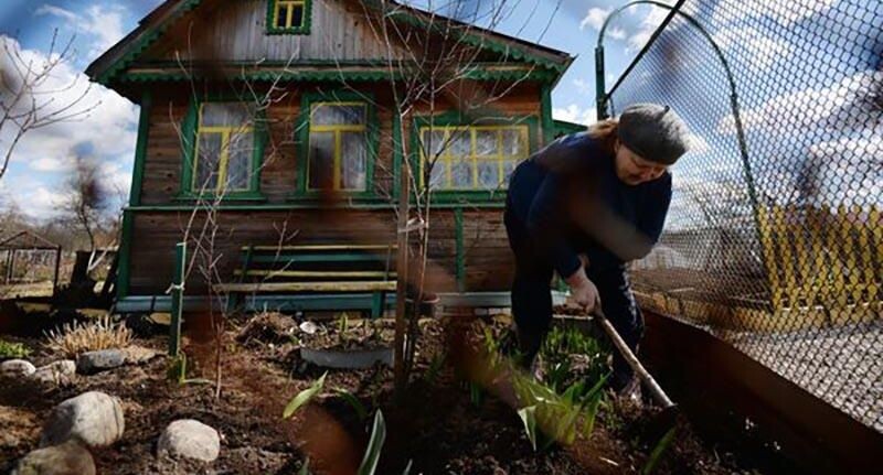    РИА «Новости»