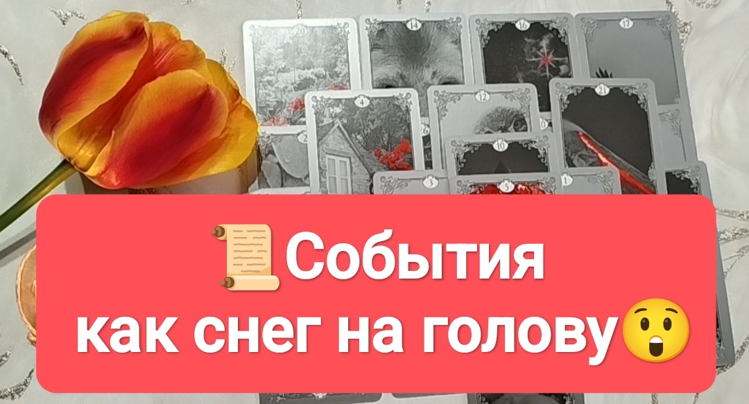 Расклад Таро на один вариант