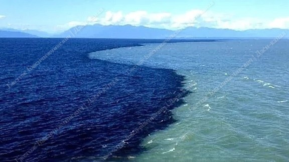 Изображение не нарушает правил платформы (Взято из открытых интернет-источников: www.reddit.com)