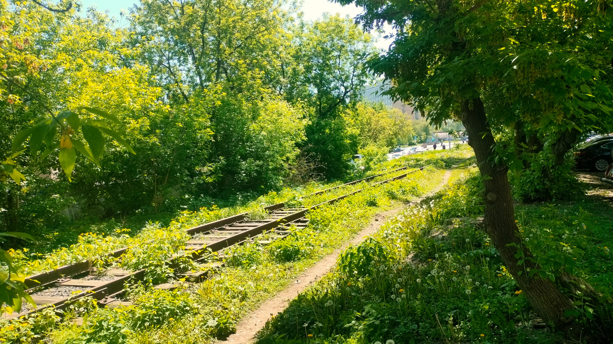 Заросший железнодорожный путь. Вид в сторону Курчатовского института.