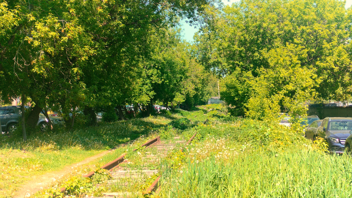 Заросший железнождорожный путь. Вид в сторону станции.