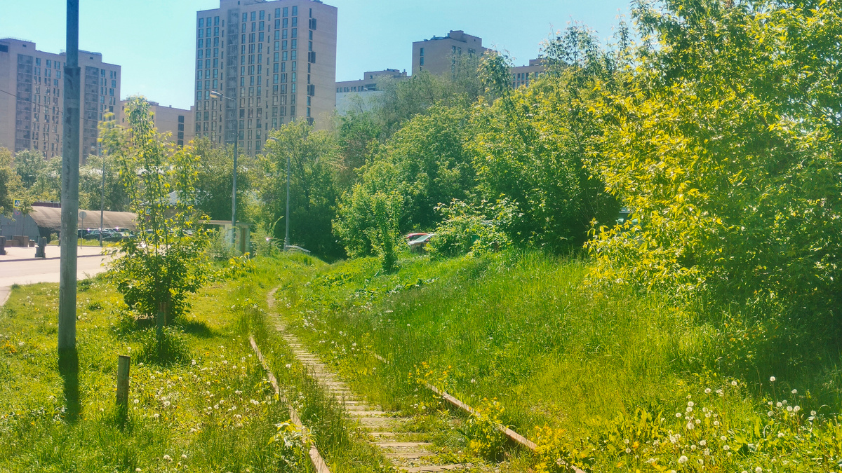 Заросший железнодорожный путь. Вид в сторону института.