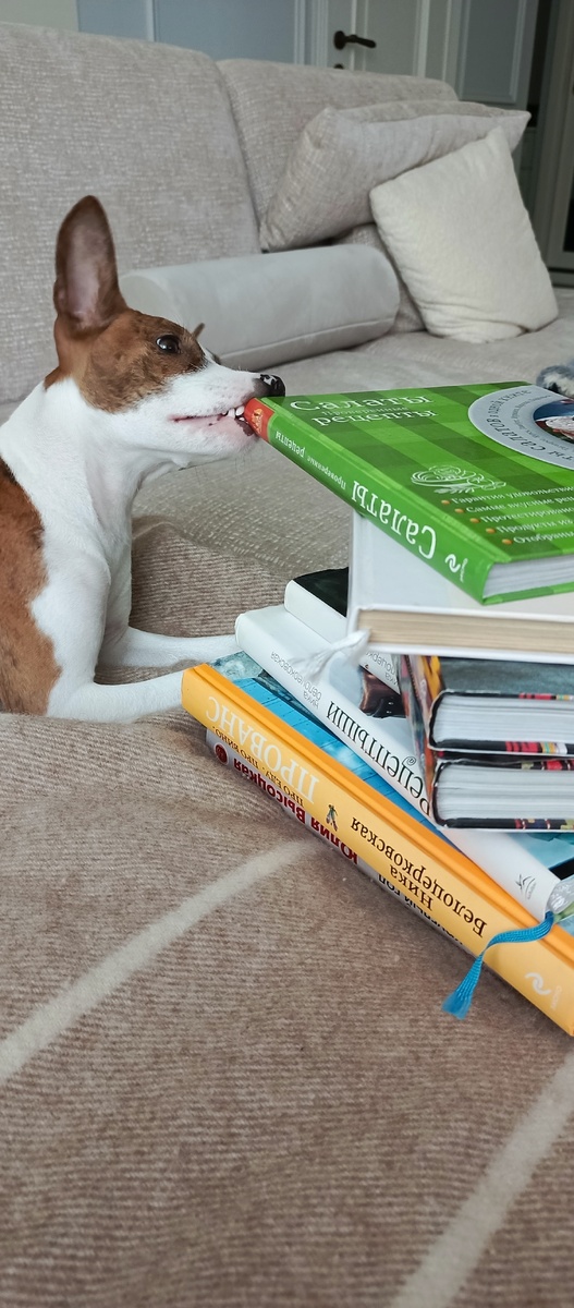 ТуТ и далее мои книжки по вкусно покушать)))