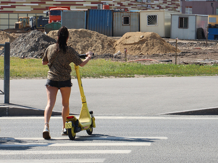     Золотое правило: на зебре надо спешиваться. Фото: «МК в Питере»