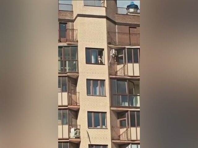    Фото: телеграм-канал "Осторожно, Москва"