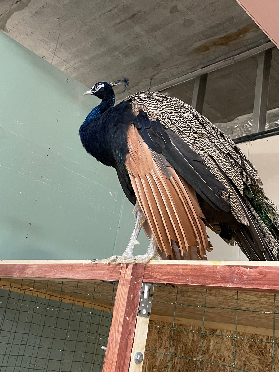 Фото автора 