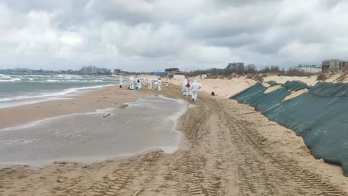    Фото: vm.ru Мария Михайлова