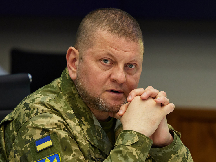 Фото: Соцсети