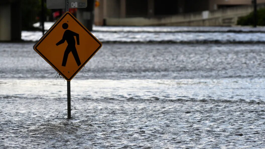    Фото: Bastiaan Slabbers/Globallookpress