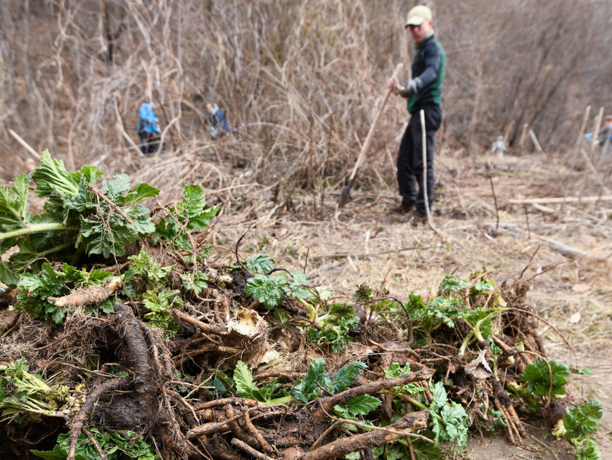 Фото: Денис Гордийко