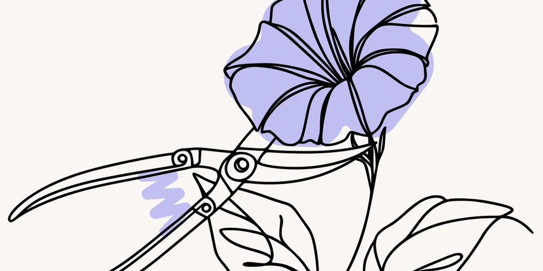 Какие растения нельзя выращивать на участке