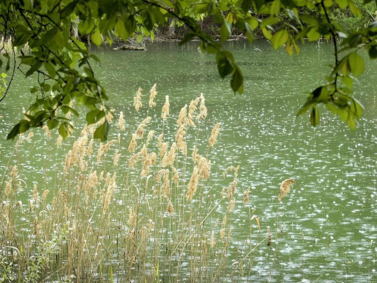 кот тоже стан не прытким