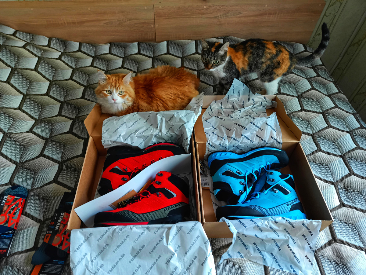 Ботинки мы купили) Теперь активно разнашиваем.