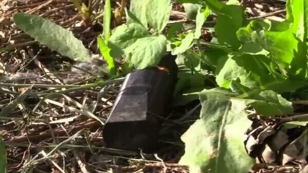    © МЧС России