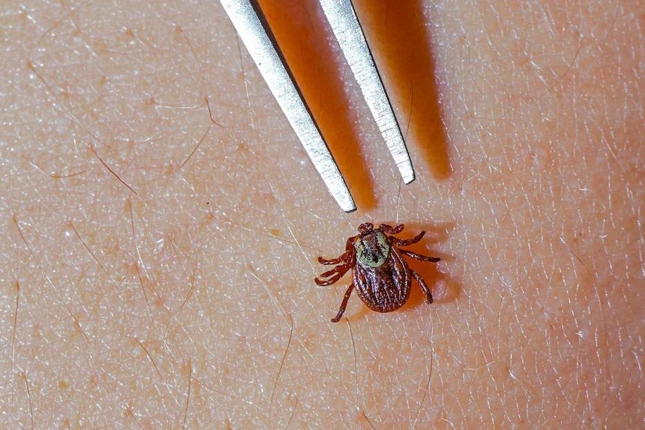    Patrick Pleul/dpa/Global Look Press