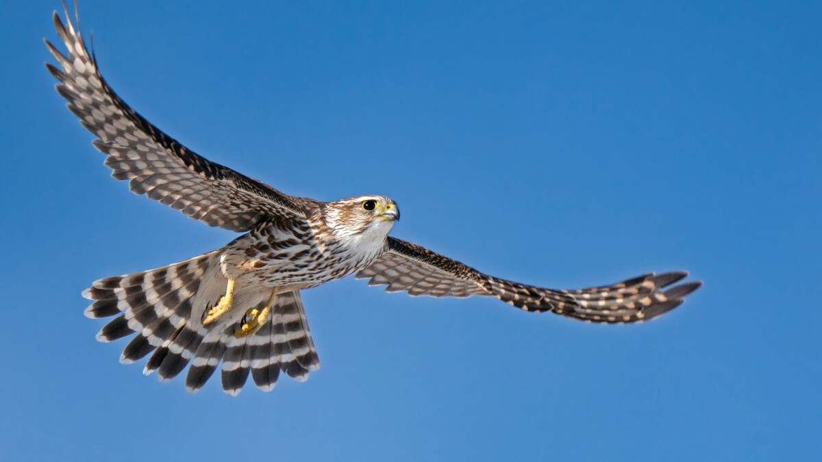    Фото: Rob Palmer Photography / Shutterstock / Fotodom