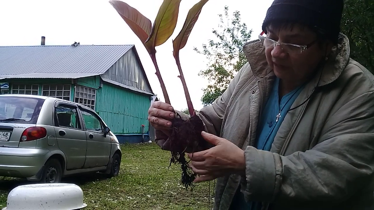 Виталий и Зоя в деревне 