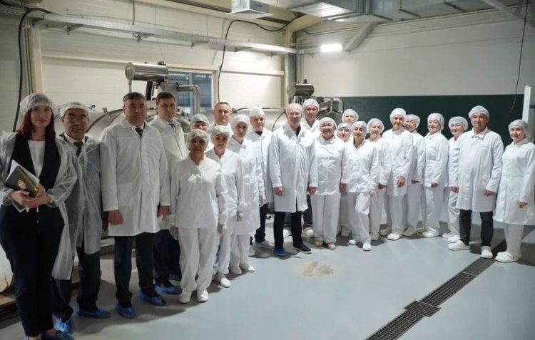    База для кумысотерапии появится в Баймакском районе Башкортостана