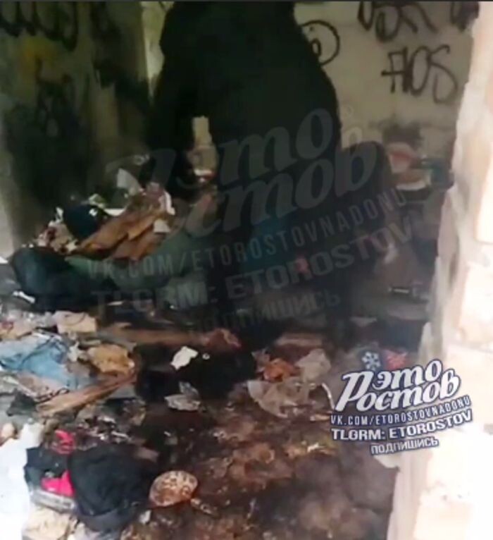 Источник фото: Это Ростов,/vk.com