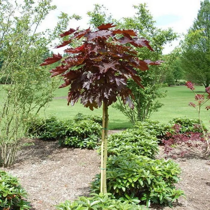 из общедоступных источников