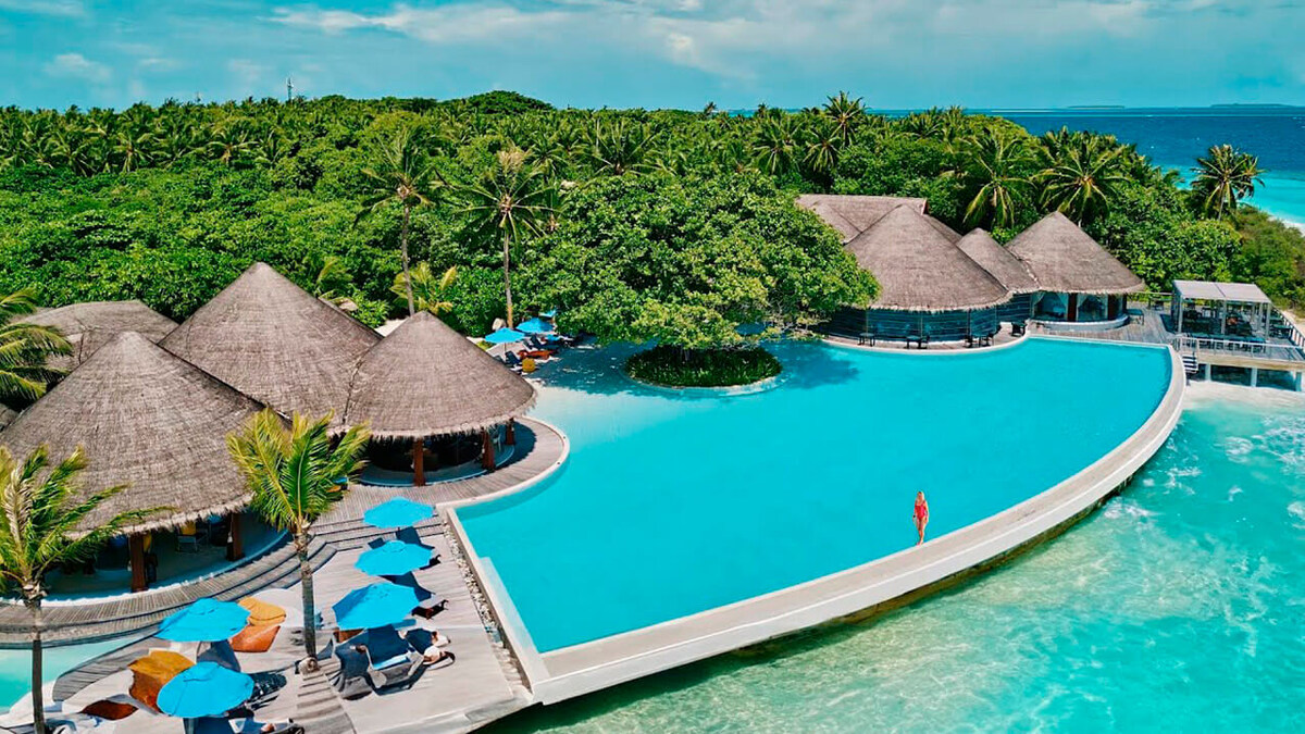 Дерево на островке посреди бассейна – одна из многочисленных фишек Dusit Thani Maldives