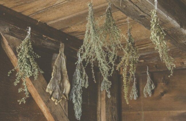 Мудрость поколений в действии: безопасные и проверенные временем методы снова доказывают свою эффективность