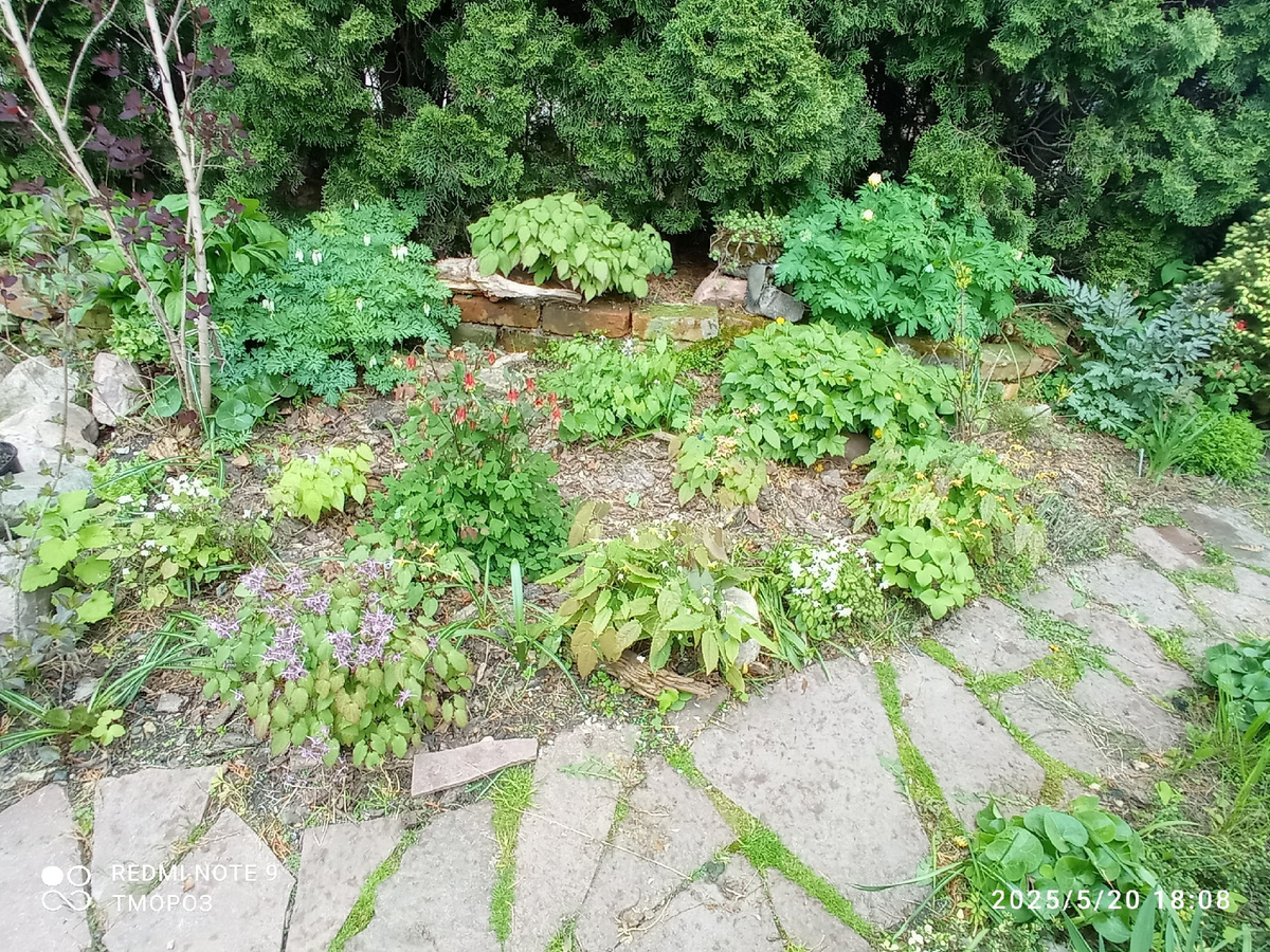 вальс горянок