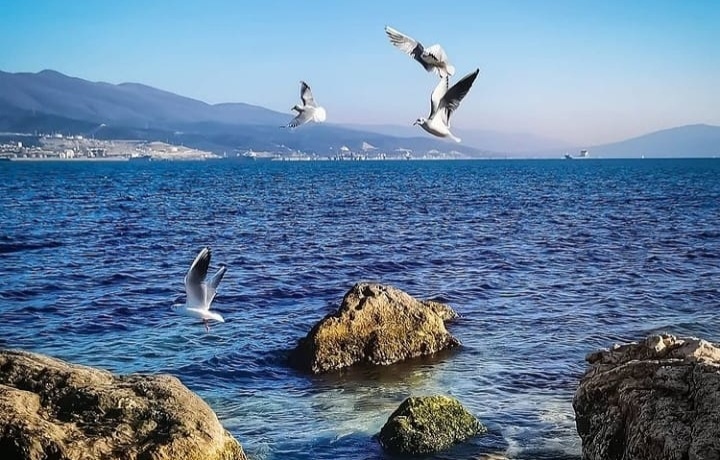 Чёрное море...Новороссийск 