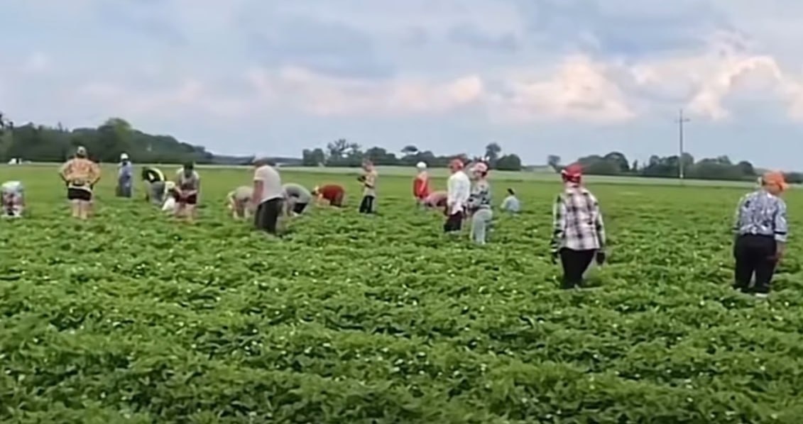 Фото: Prt Scr youtube.com / Volynblog