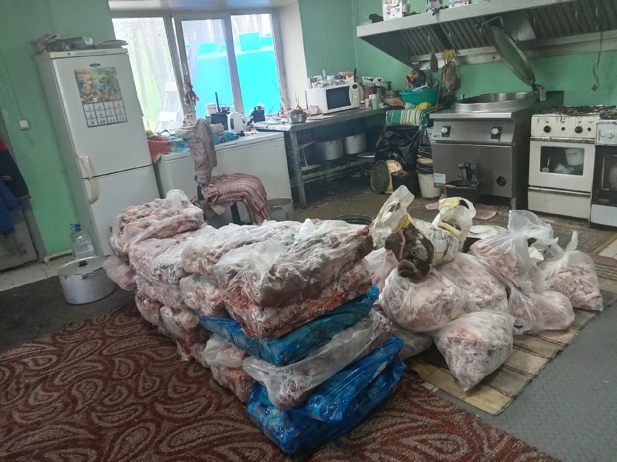 Мясо, которое нам приезли в четверг для всех собак